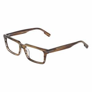 Avio AOV2307 Eyeglasses 560 Brown 53mm